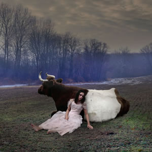 Tom Chanbers - Cow Girl